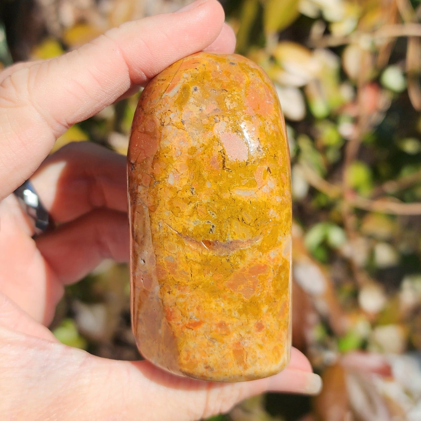 Mookaite Jasper Freeform