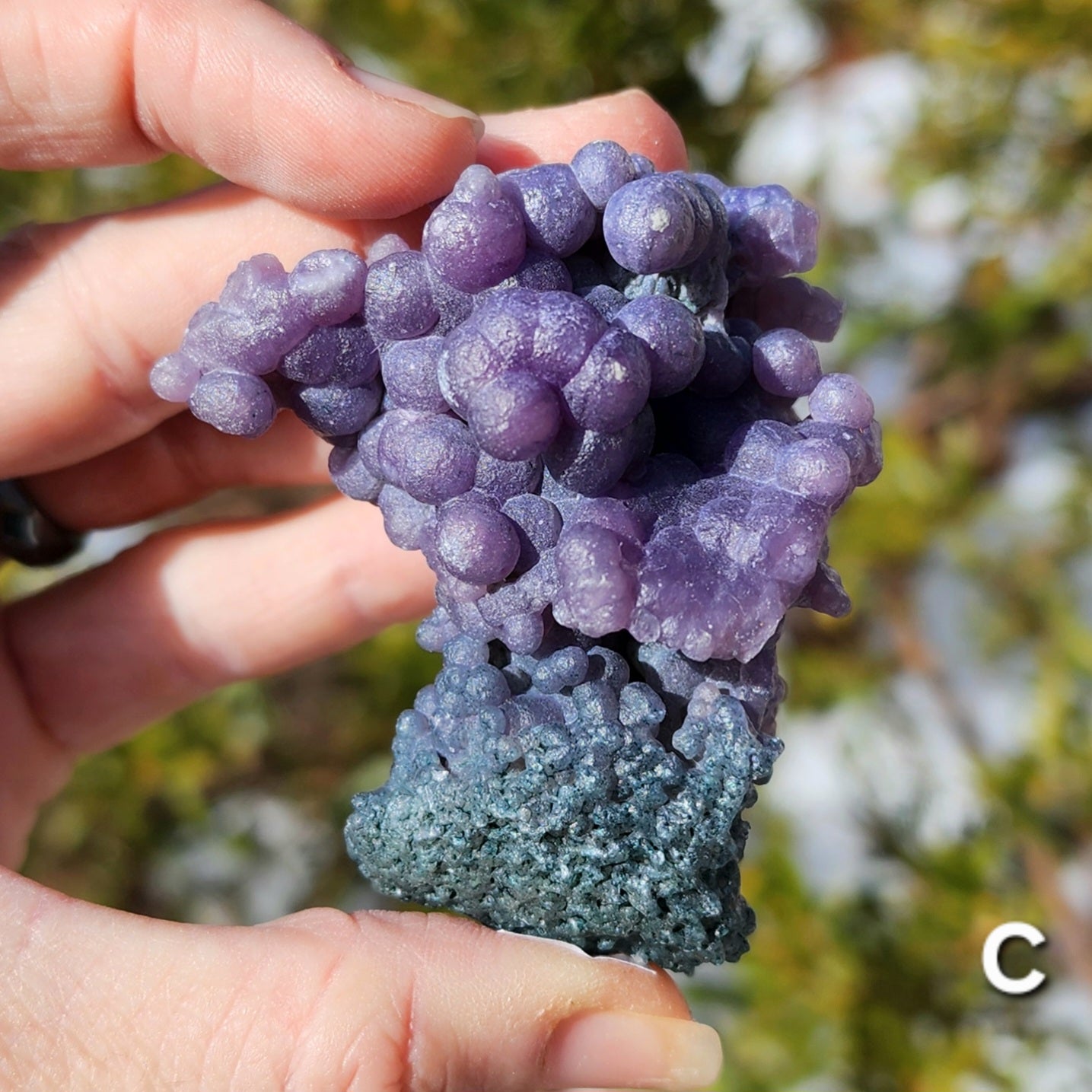 Grape Agate Specimens