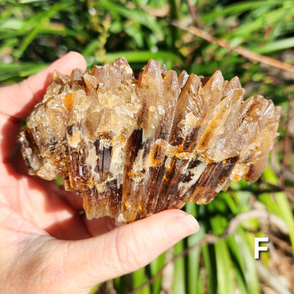 Amber Calcite Specimens (Root Beer Calcite)