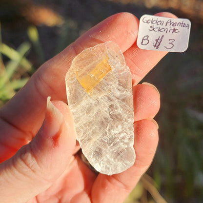 Golden Phantom Selenite