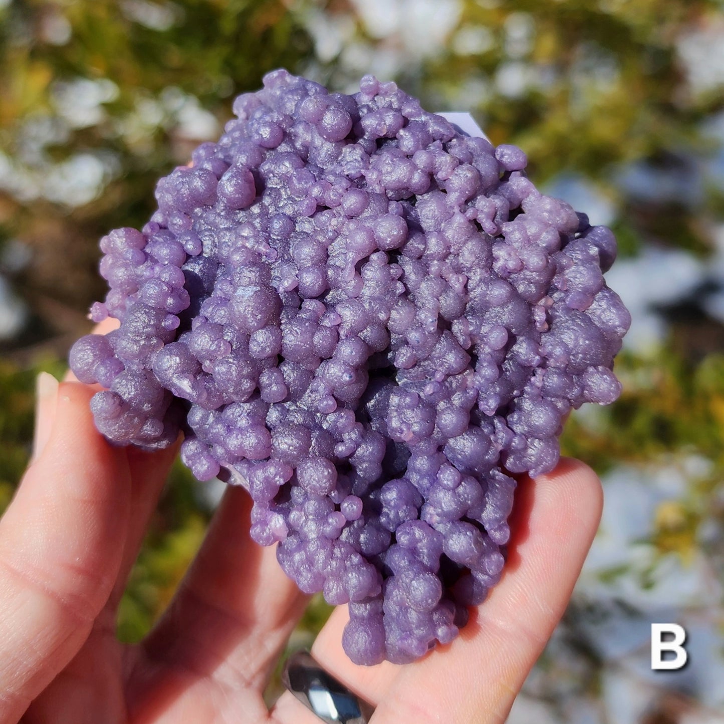 Grape Agate Specimens