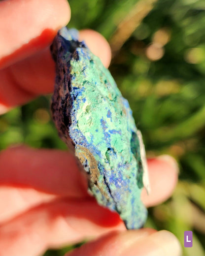 Azurite in Chrysocolla Specimens