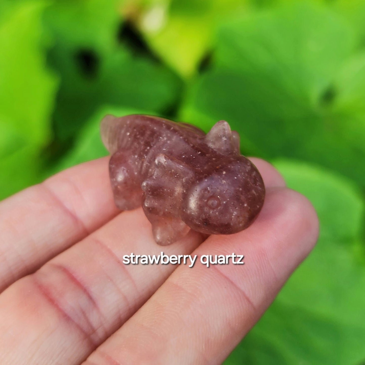 Axolotl Carving (Amethyst, Garnet, Green Aventurine, Strawberry Quartz)