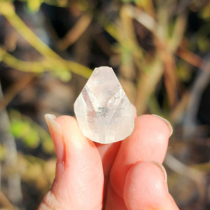 Apophyllite Points