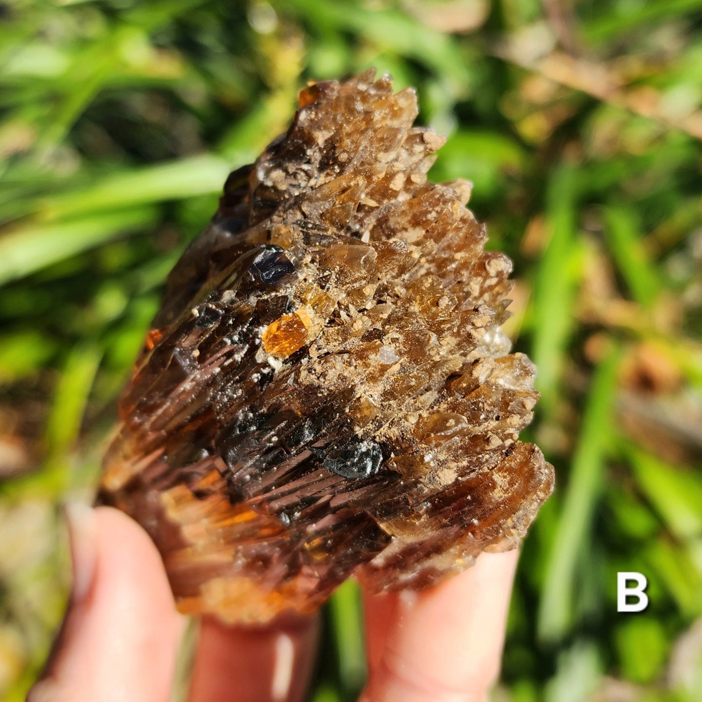 Amber Calcite Specimens (Root Beer Calcite)