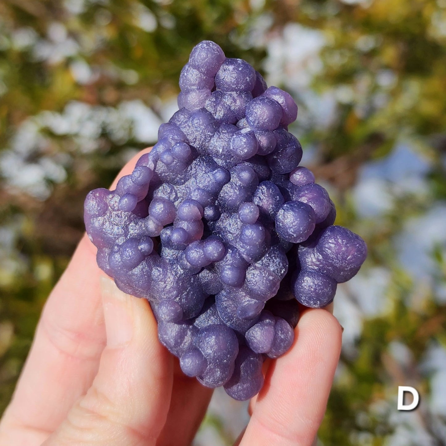 Grape Agate Specimens