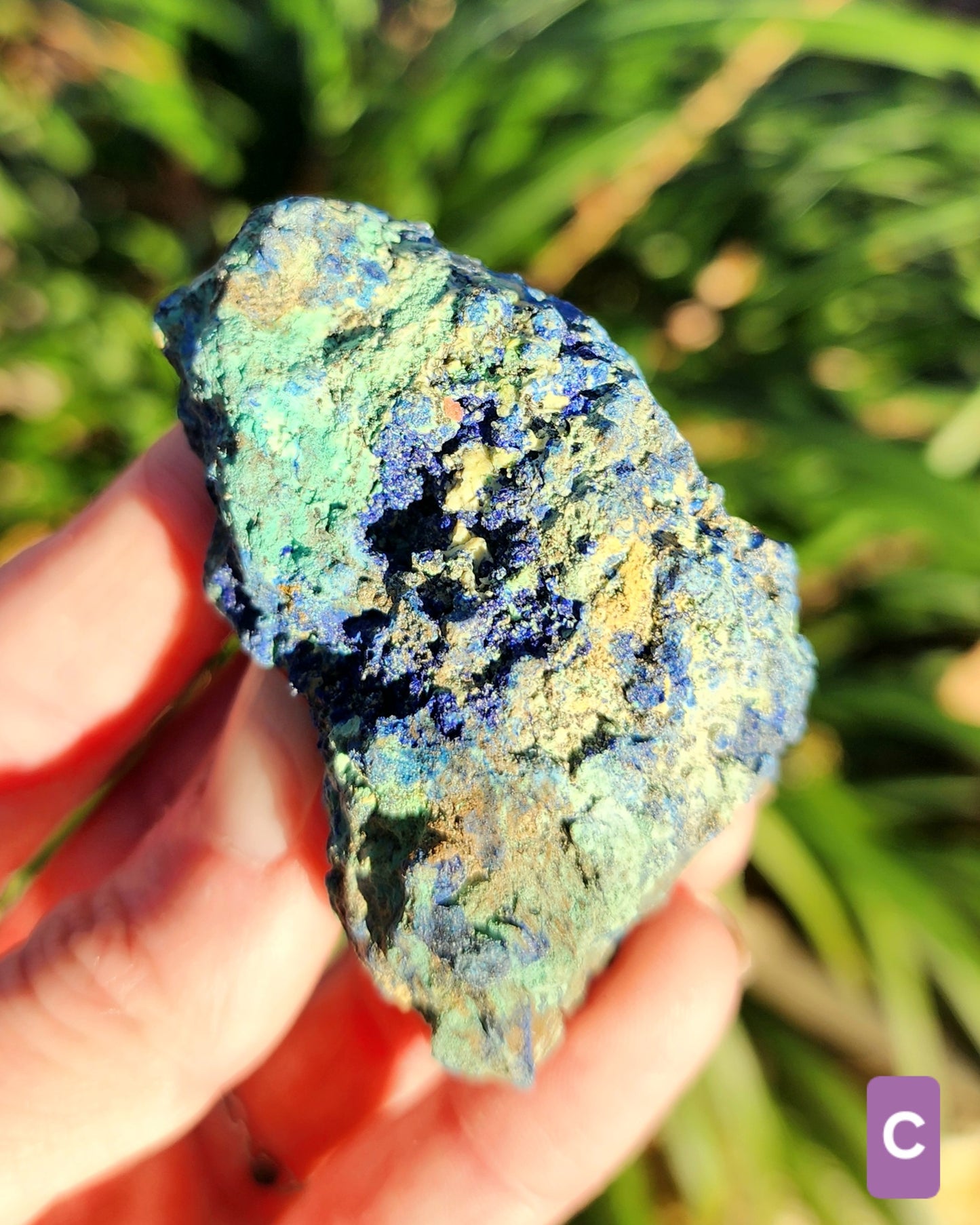 Azurite in Chrysocolla Specimens