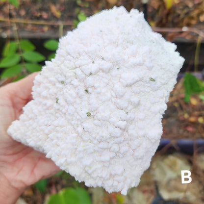 Rare Crystallized Pink Mangano Calcite Clusters