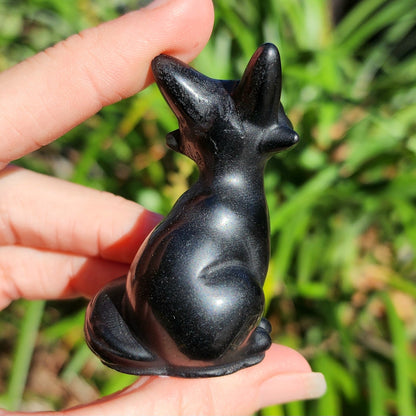 Black Obsidian Fox