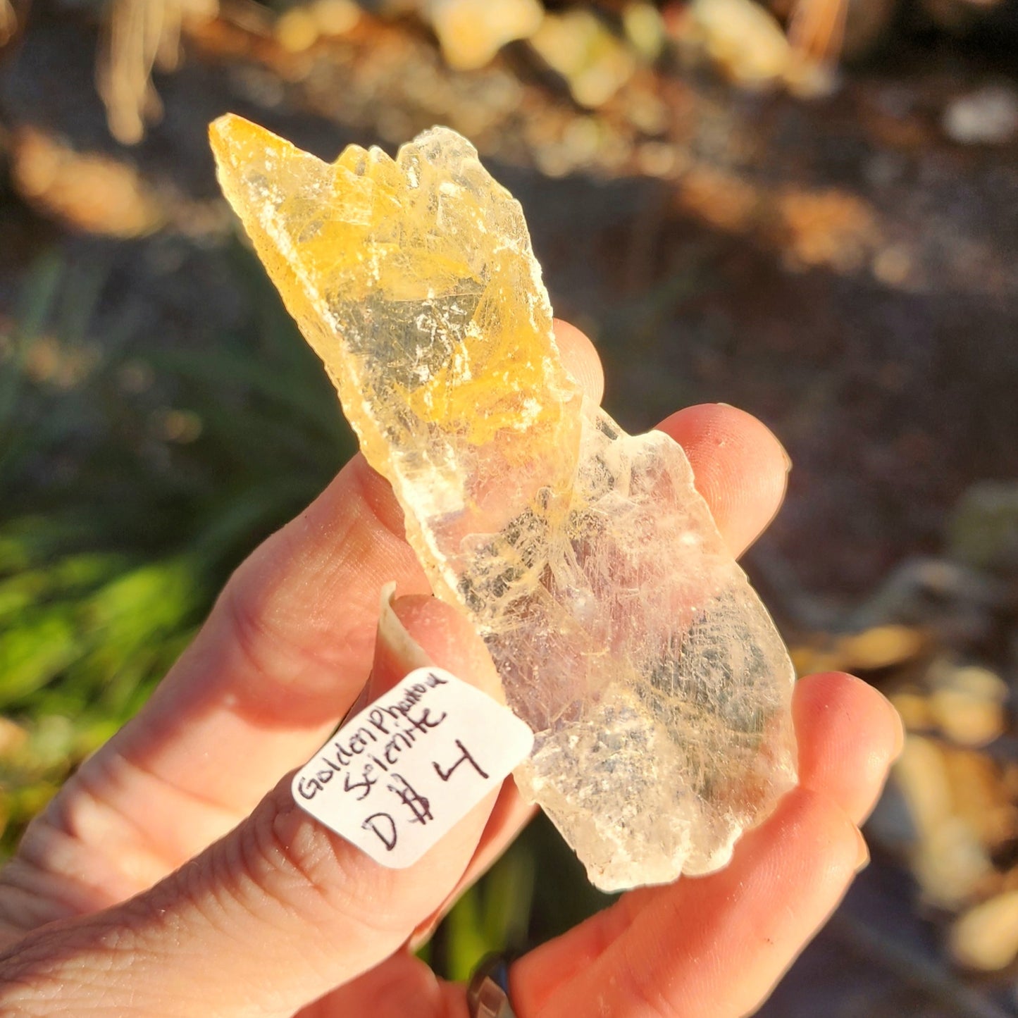 Golden Phantom Selenite