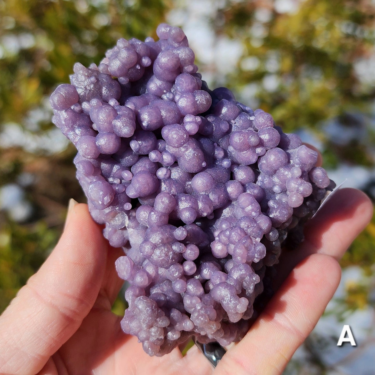 Grape Agate Specimens