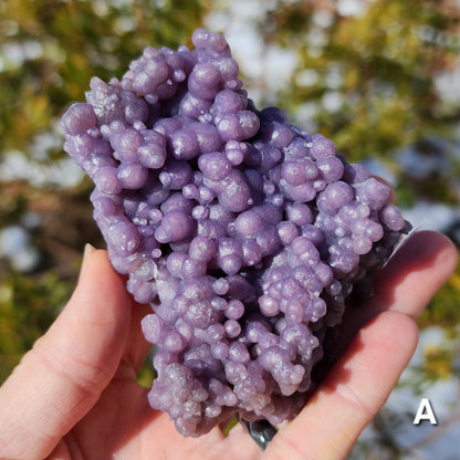 Grape Agate Specimens