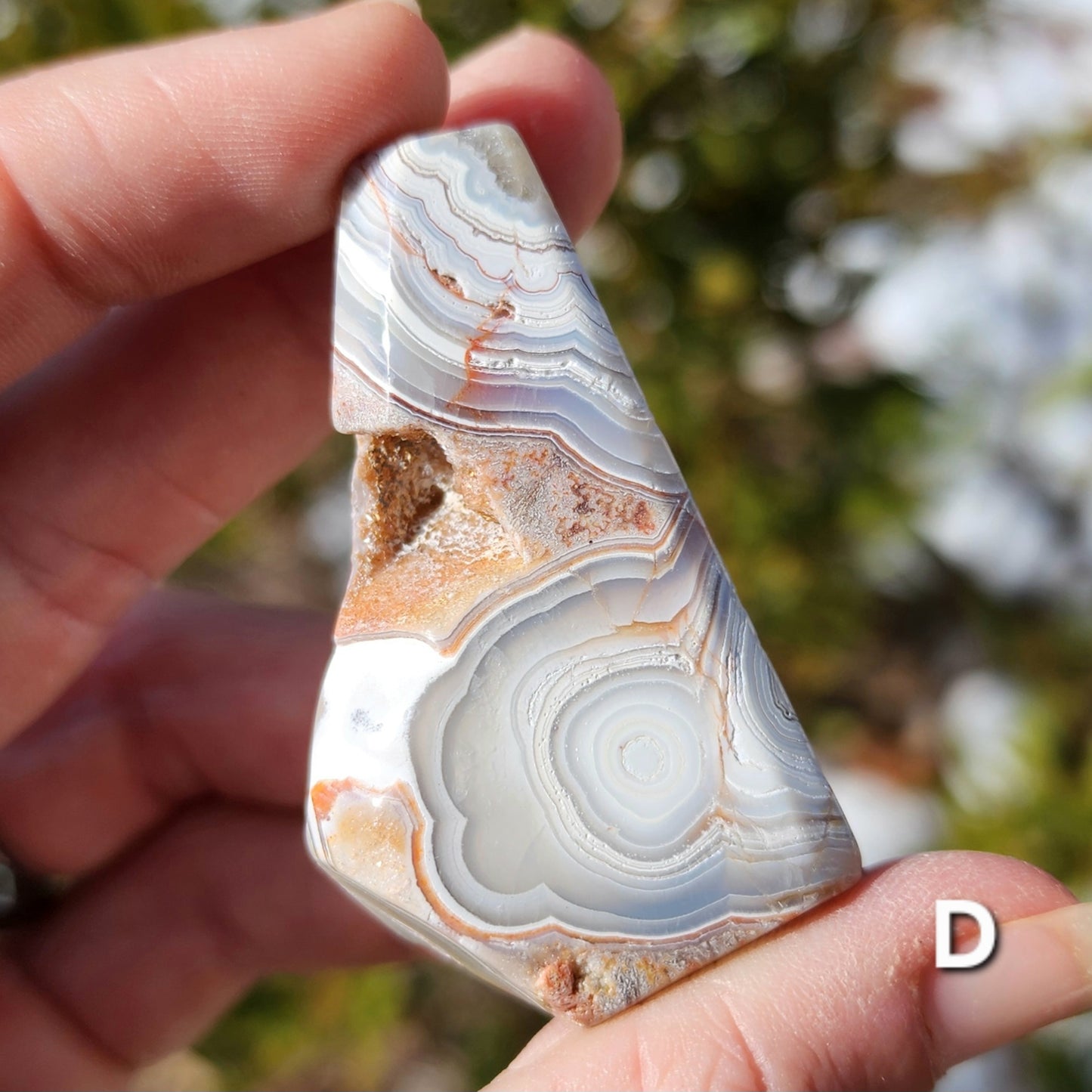 Moroccan Crazy Lace Agate Angular Freeforms