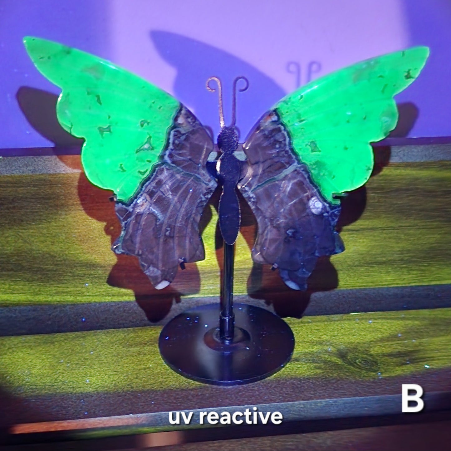 UV Reactive Volcanic Agate Butterfly Wings on Stand