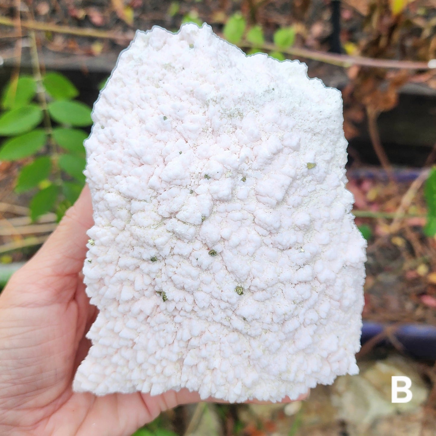 Rare Crystallized Pink Mangano Calcite Clusters