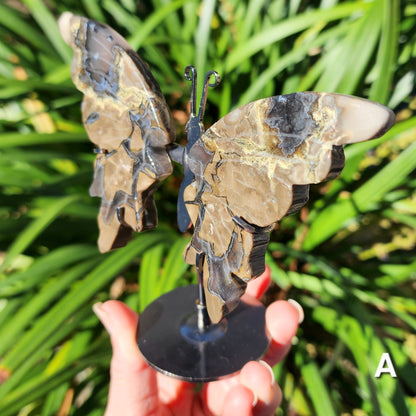 UV Reactive Volcanic Agate Butterfly Wings on Stand