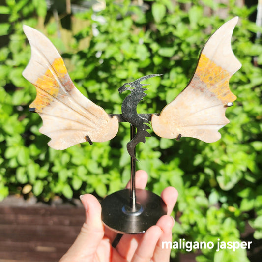 Dragon Wings (Maligano Jasper or Mexican Agate)