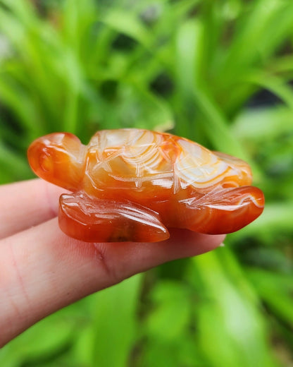 Carnelian Sea Turtle Carving