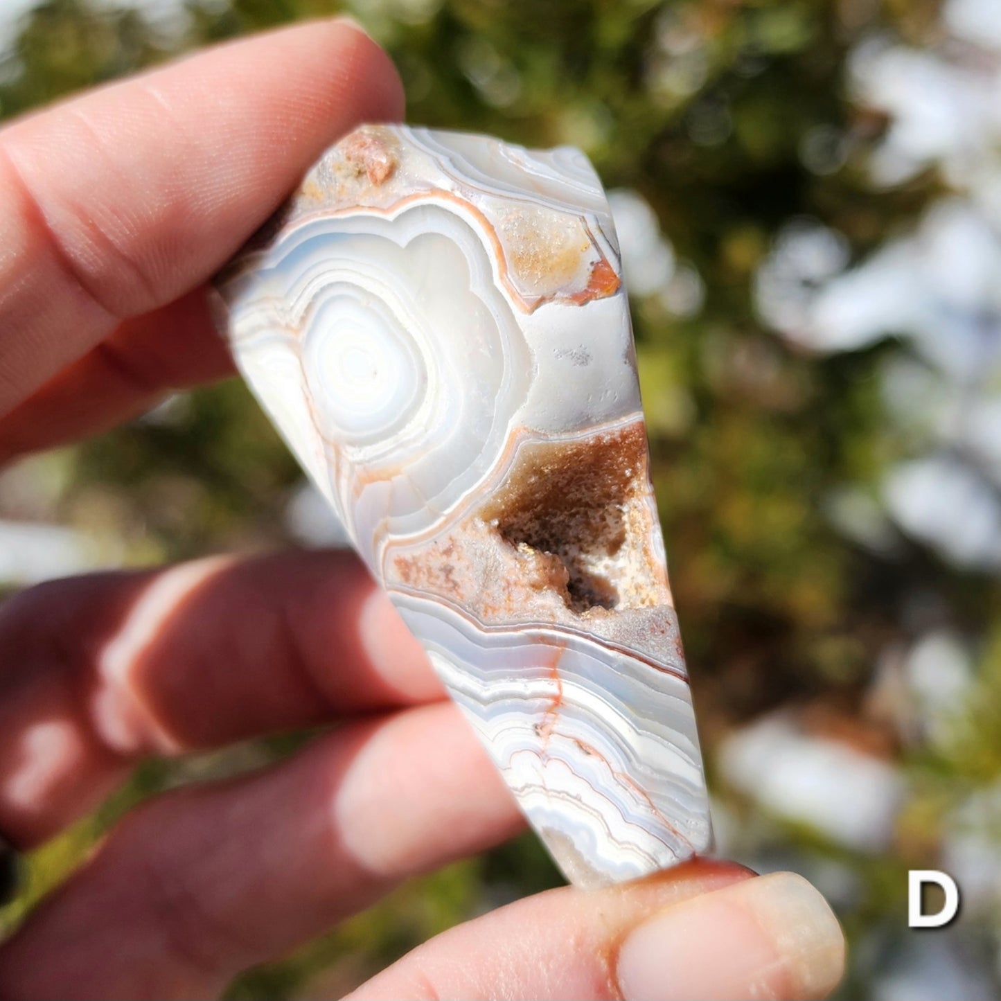 Moroccan Crazy Lace Agate Angular Freeforms