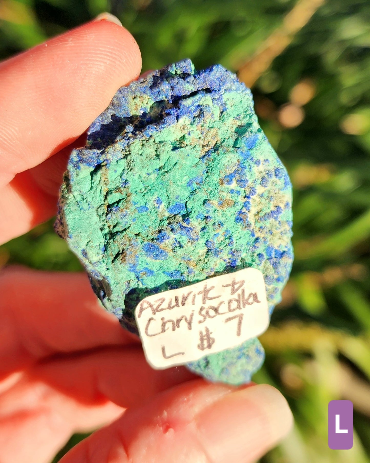 Azurite in Chrysocolla Specimens