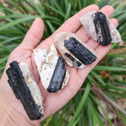 Black Tourmaline on Matrix