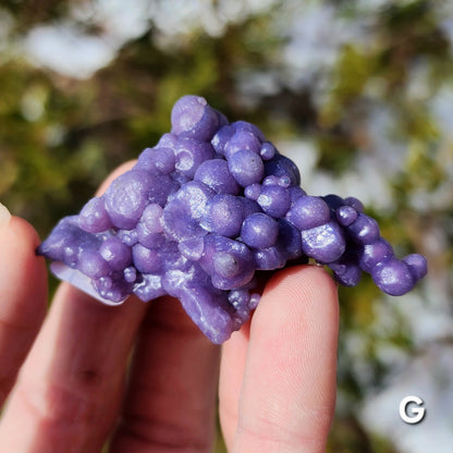 Grape Agate Specimens