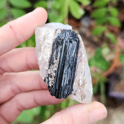 Black Tourmaline on Matrix