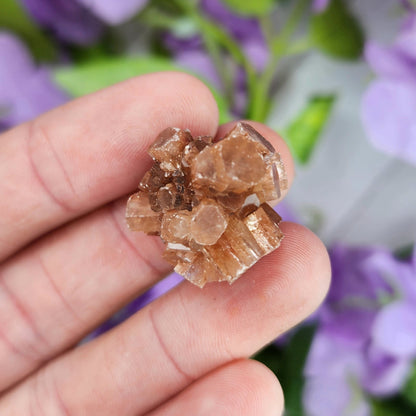 Aragonite Sputnik Cluster