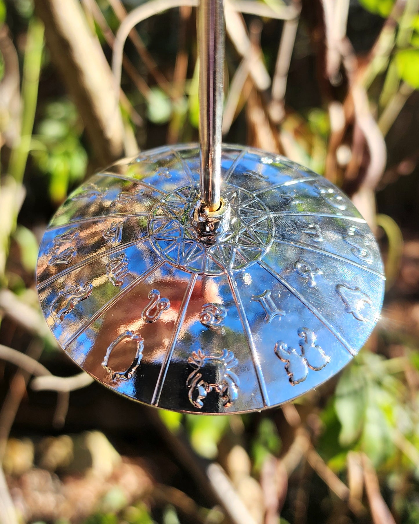 Midnight Lace Obsidian Butterfly on Stand