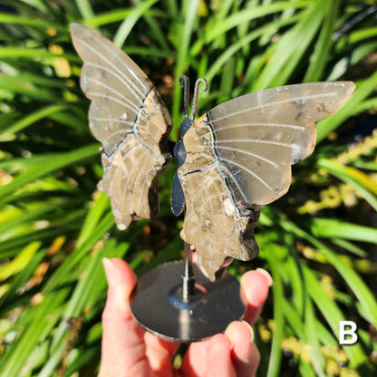 UV Reactive Volcanic Agate Butterfly Wings on Stand