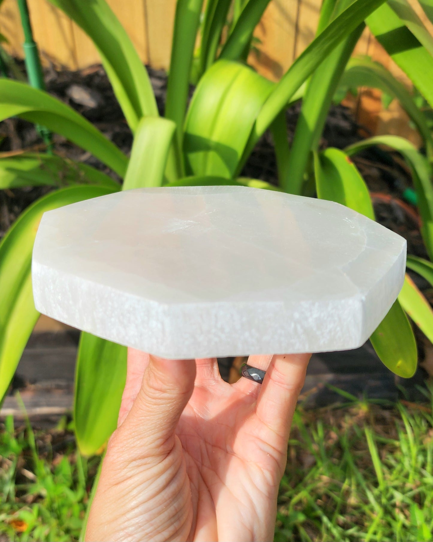 Satin Spar Selenite Octagon Cleansing Plate