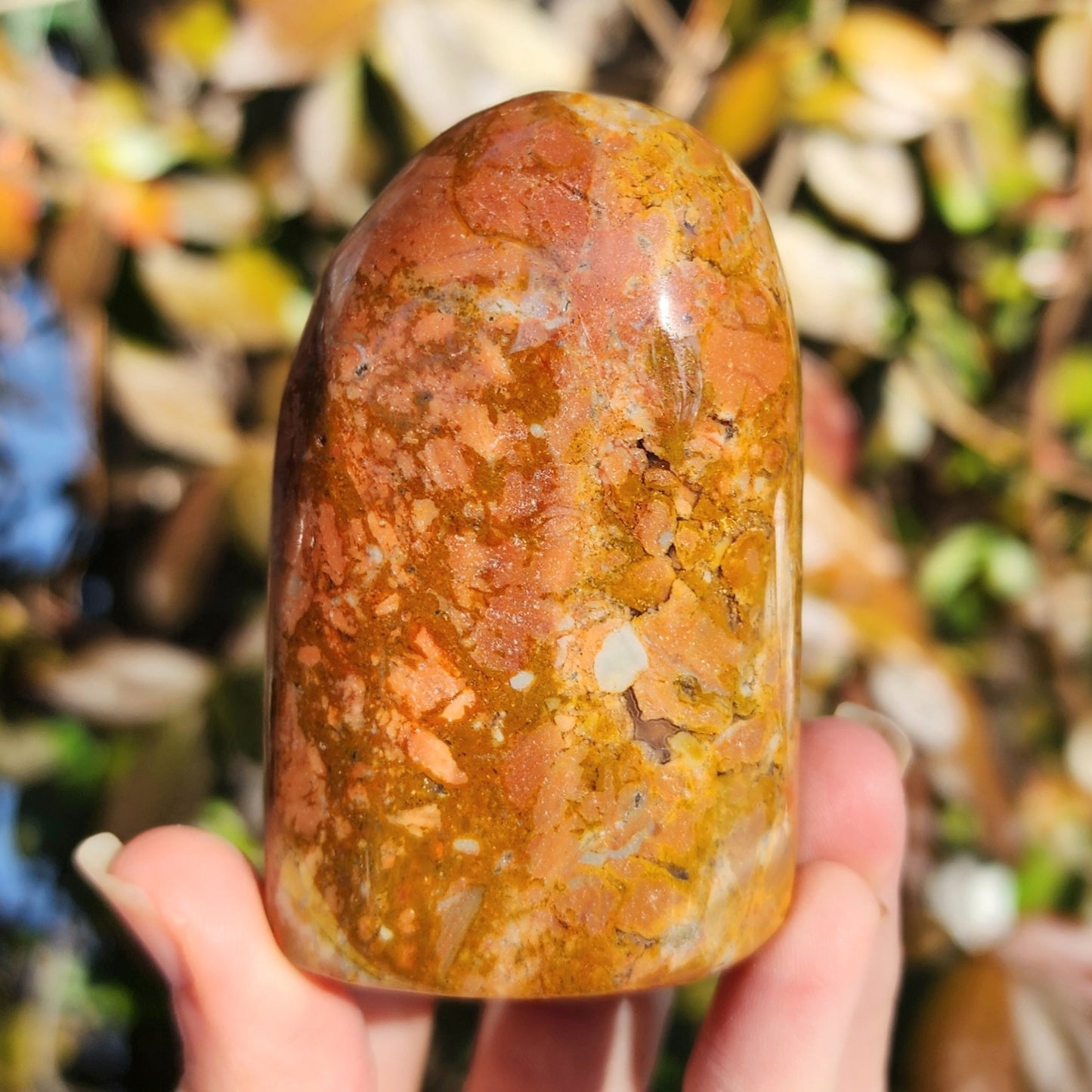 Mookaite Jasper Freeform