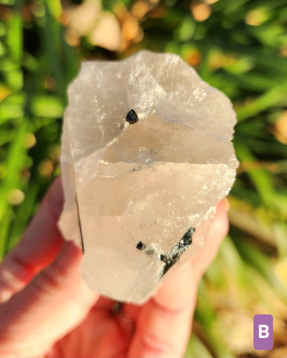 Raw Black Tourmaline in Quartz aka Tourmalinated Quartz
