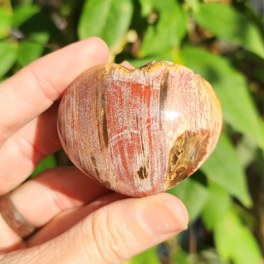 Petrified Wood Heart