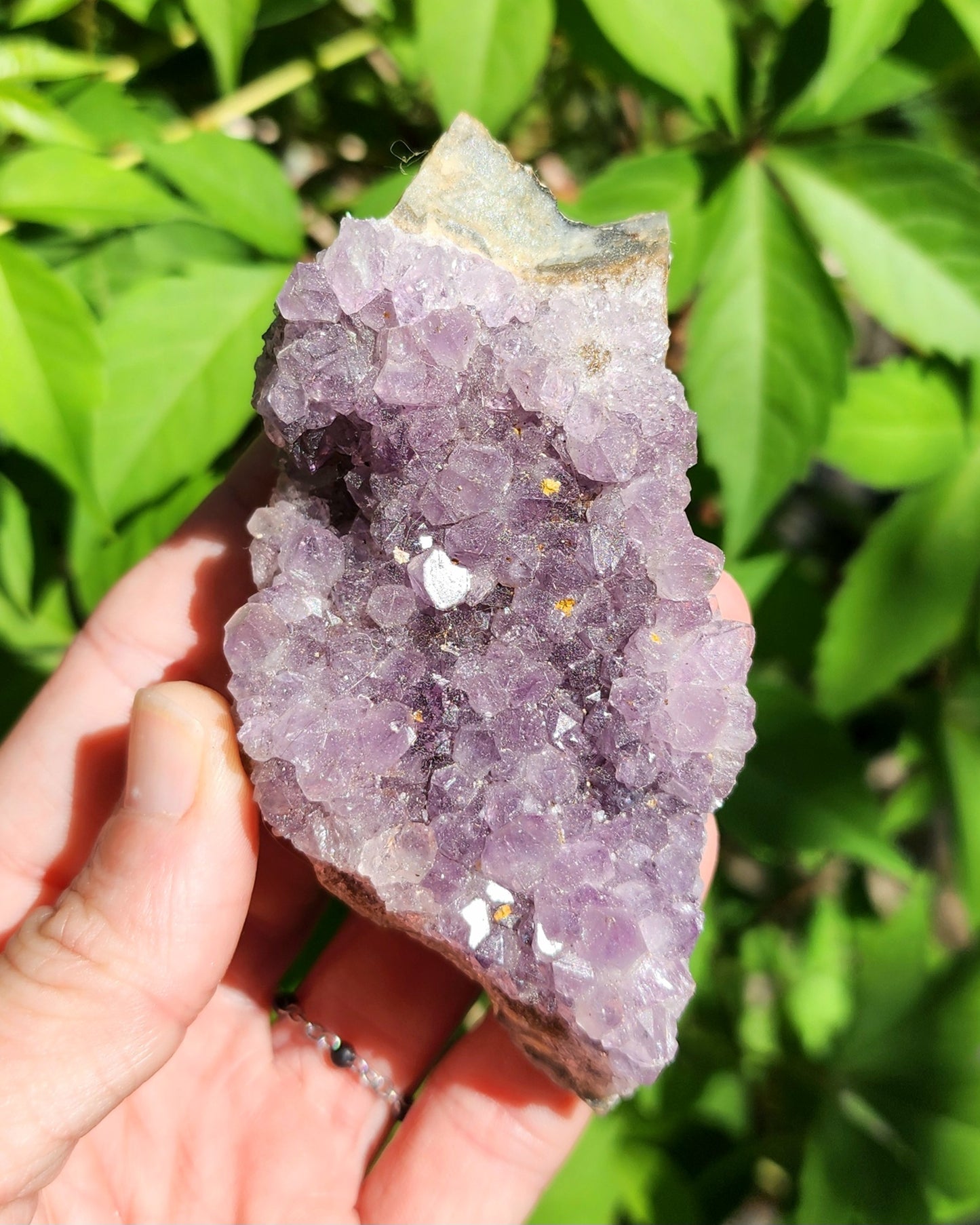 Amethyst Cluster