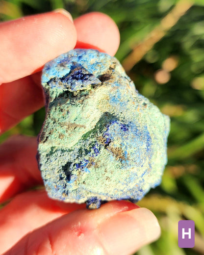Azurite in Chrysocolla Specimens