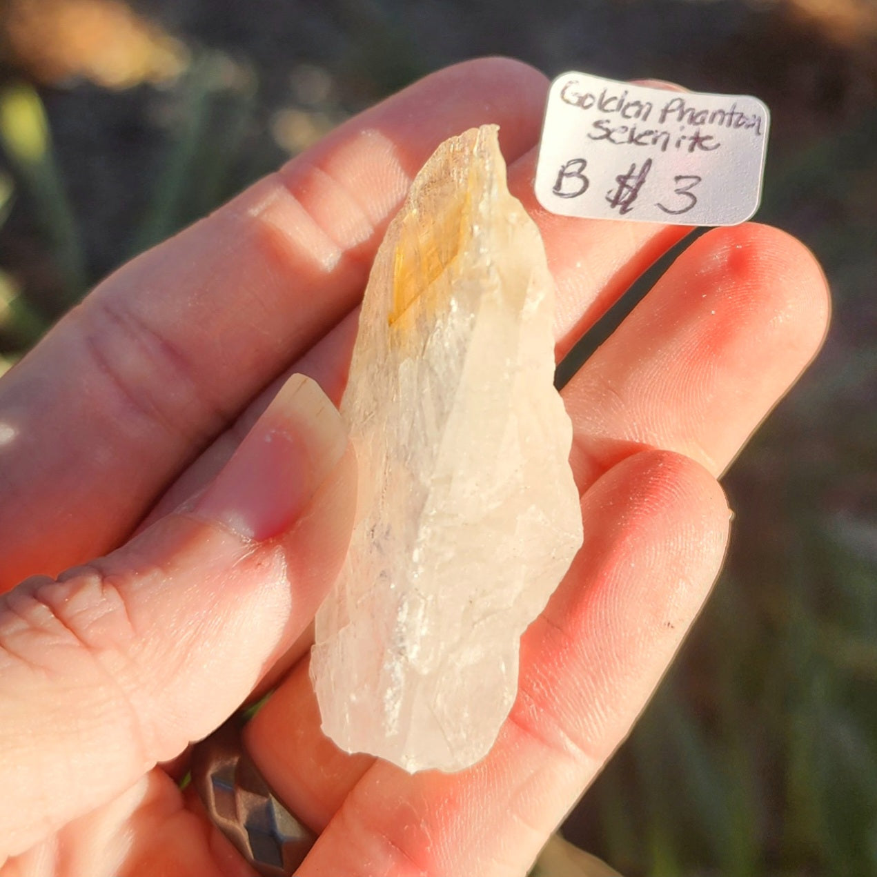 Golden Phantom Selenite