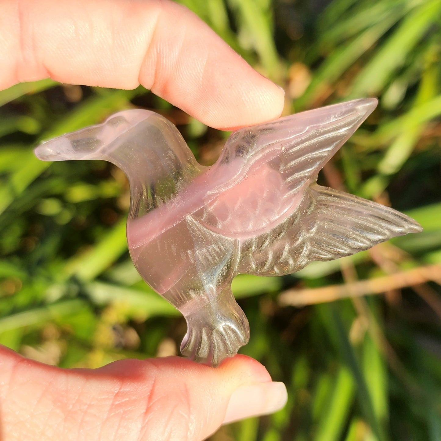 Purple Fluorite Hummingbird