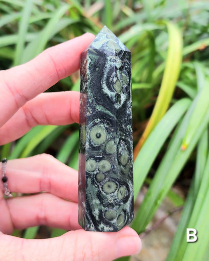 Kambaba Jasper Towers