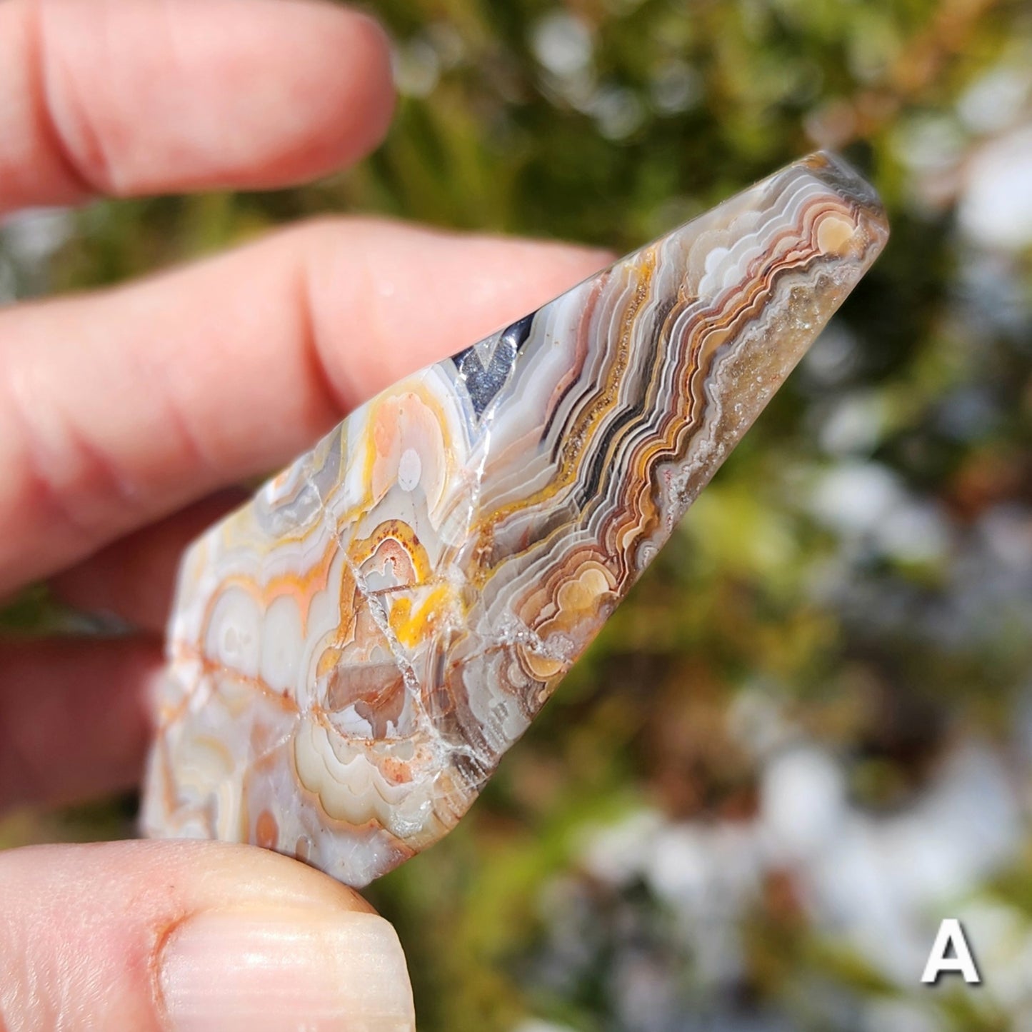 Moroccan Crazy Lace Agate Angular Freeforms