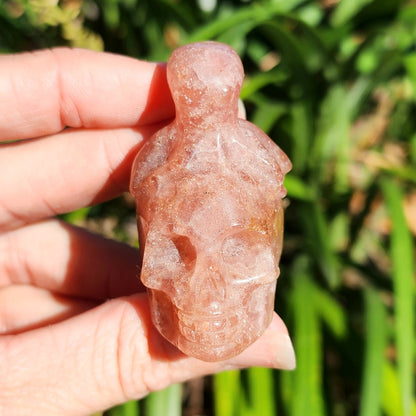 Red Aventurine Octopus on Skull Carvings