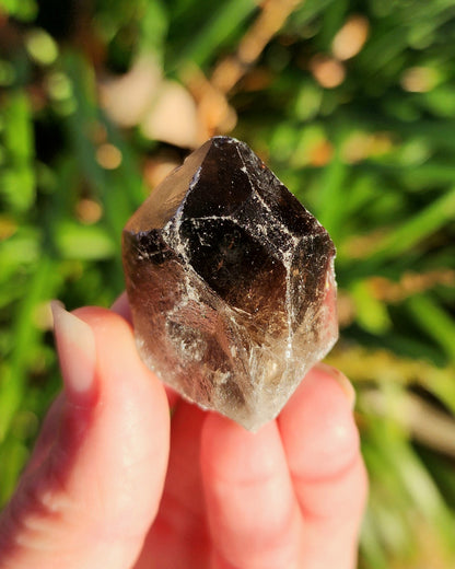 Smoky Quartz Raw Point