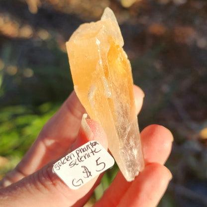 Golden Phantom Selenite