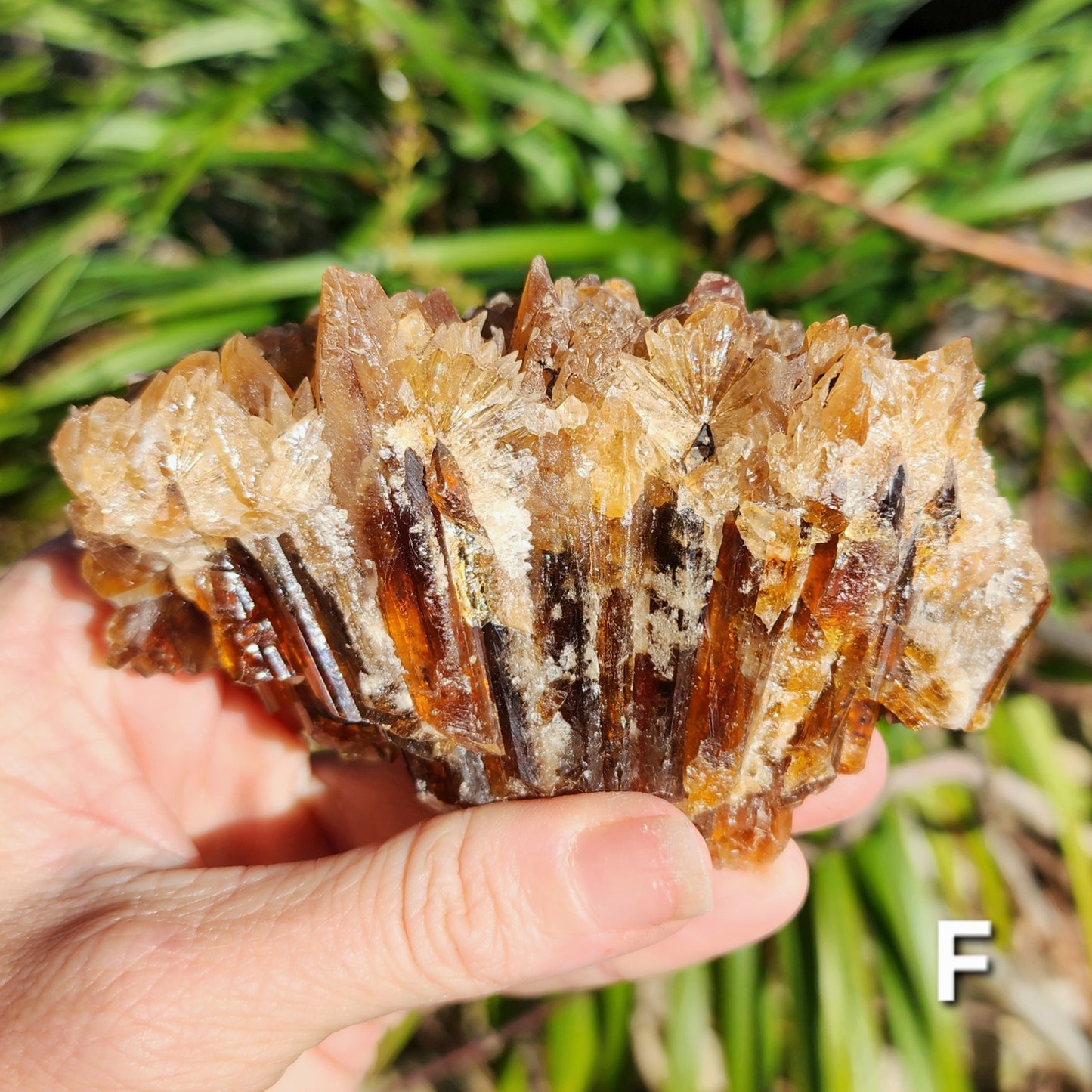 Amber Calcite Specimens (Root Beer Calcite)