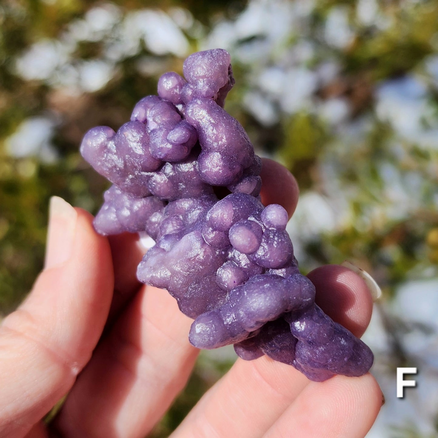 Grape Agate Specimens