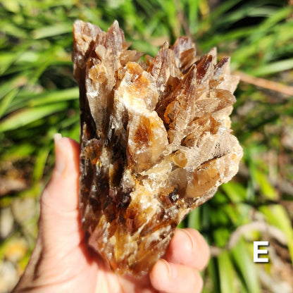 Amber Calcite Specimens (Root Beer Calcite)