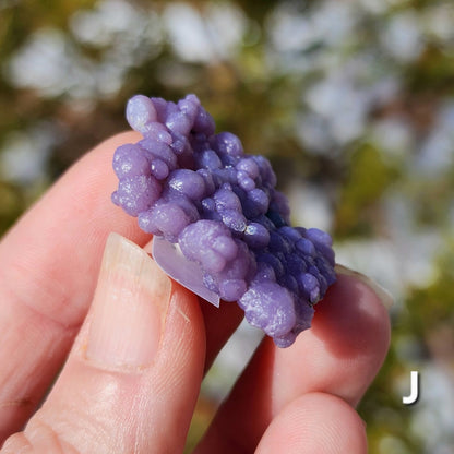 Grape Agate Specimens