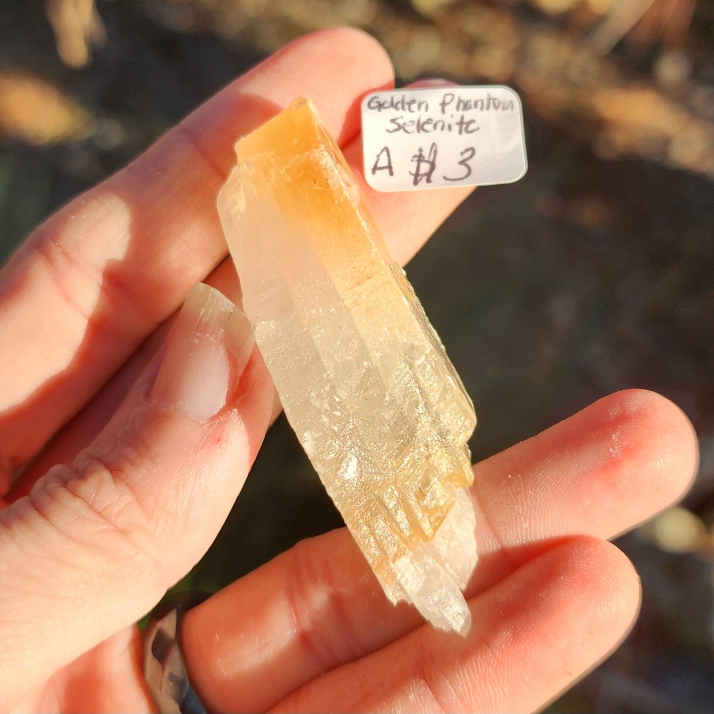 Golden Phantom Selenite