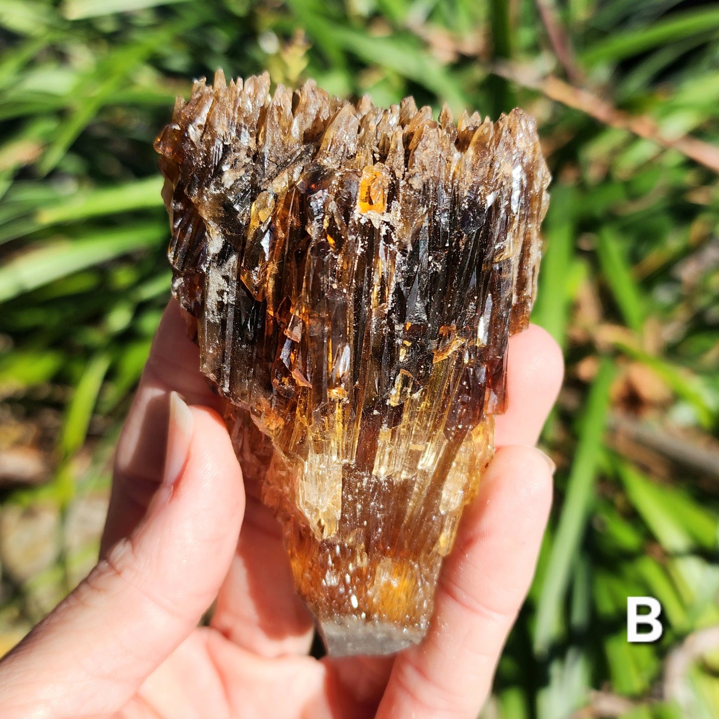 Amber Calcite Specimens (Root Beer Calcite)